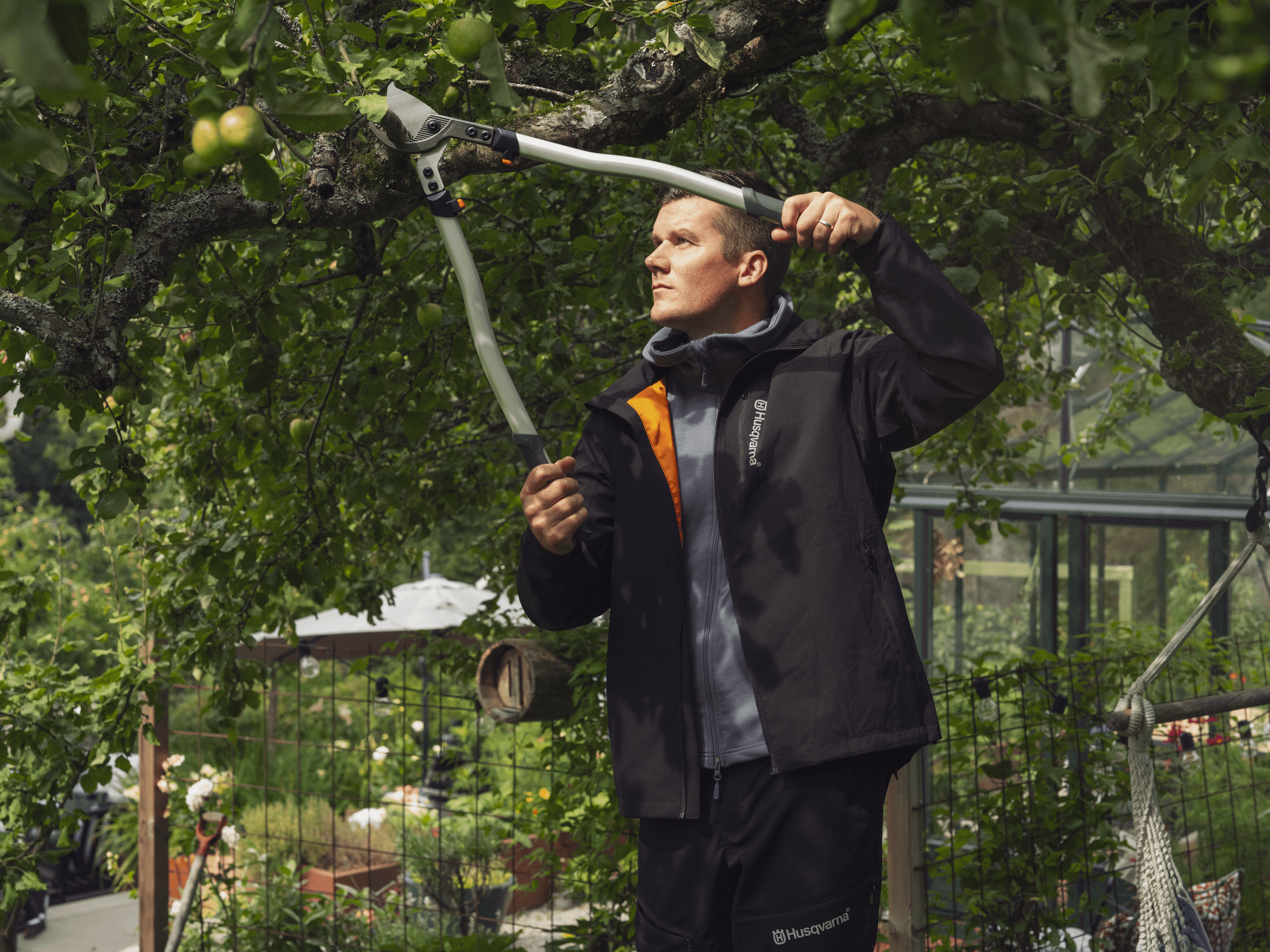 Looper large image 1